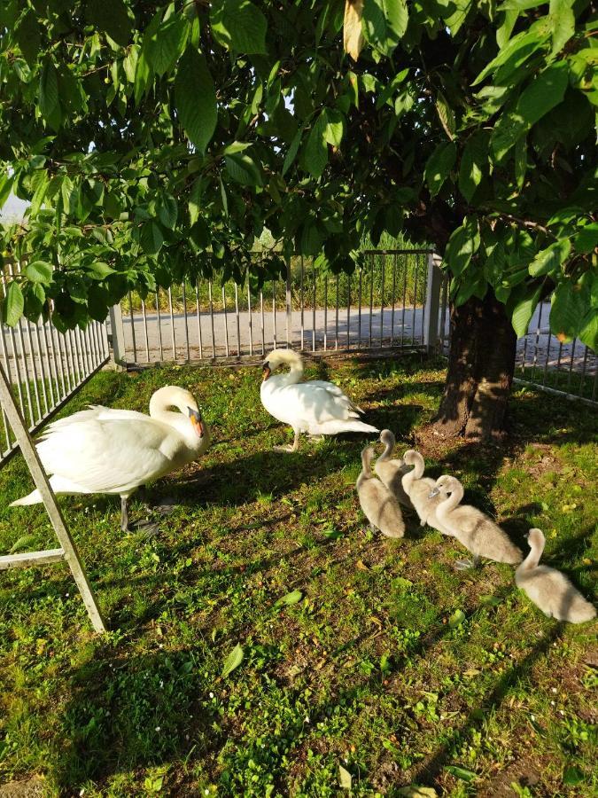 Apartman Na Jezeru Zagreb Eksteriør billede